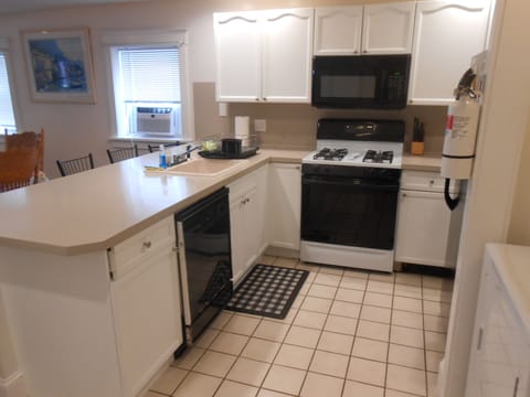 More Ground Floor Condo kitchen