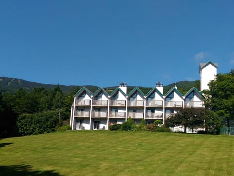 Fiddlehead is nestled in the picturesque mountains of the Mad River Valley