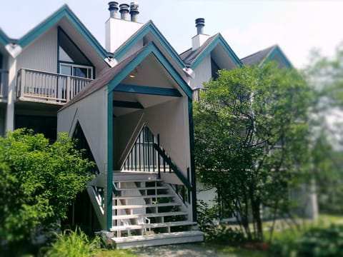 Fiddlehead is the only condo located on Mt Ellen with nearby walk-on access