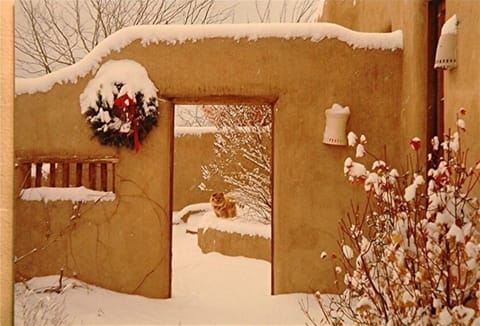 Entrance to patio & guest house - pets welcome