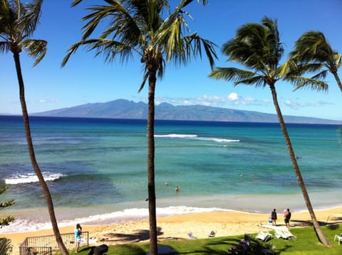 View from Lanai