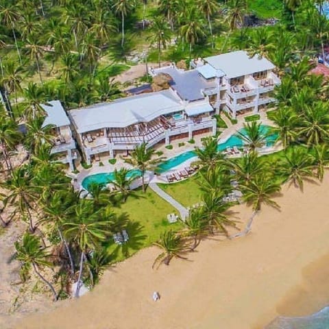 Ariel view of The Palms