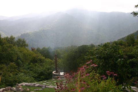 Authentic cedar wood fired hot tub.  Perfectly relaxing anytime of year!
