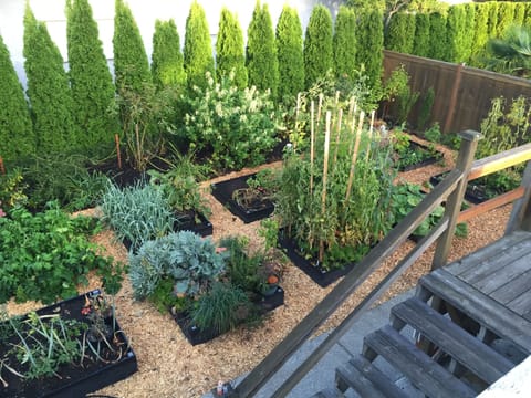 A bounty of in-season fruits and veggies and we're happy to share.