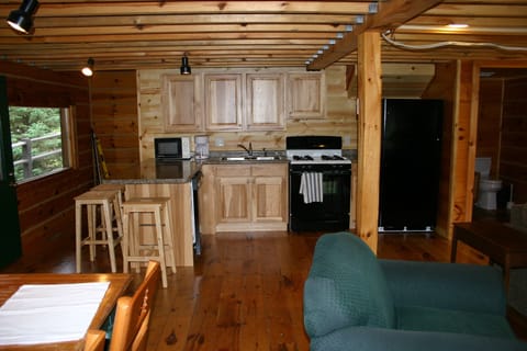 Another look at the kitchen