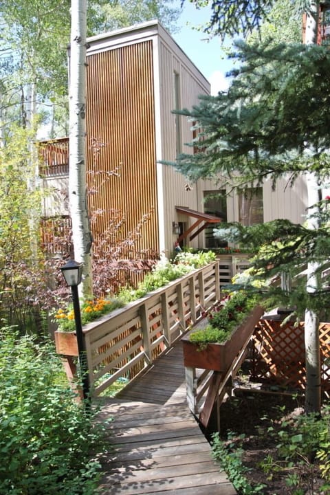 Walk way to front door.