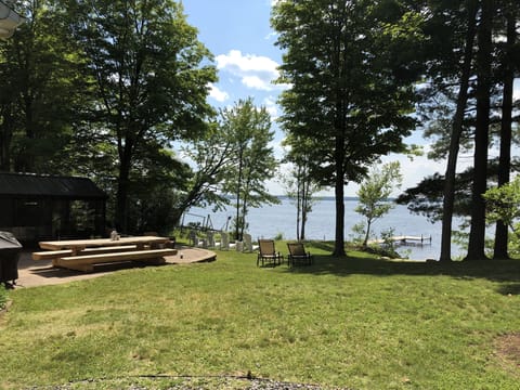 Back yard with patio