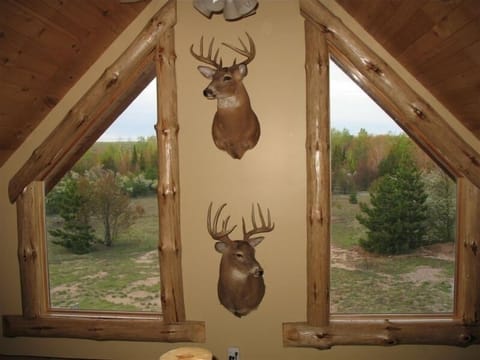 Spring time view from the Cabin Loft