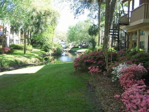 Lagoon view from balcony of Springwood