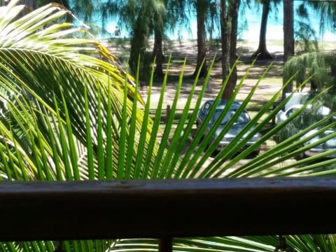 view from the Balcony