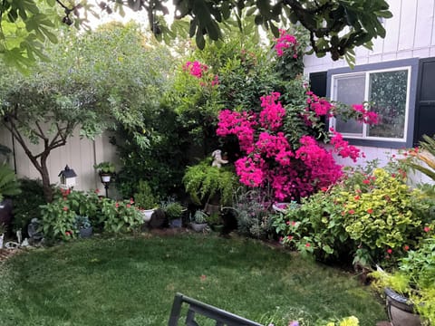 Your yard full of summer color. 