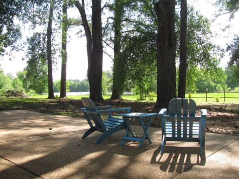 A view of the lake from the patio.
