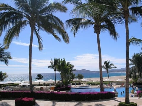 Main Pool