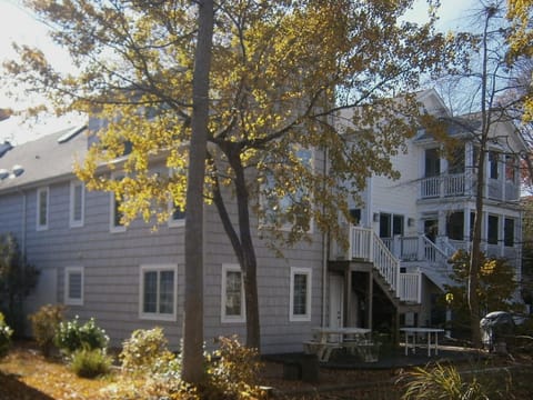Rear view of house