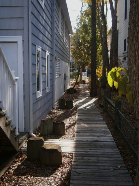 Shady walkway from street front to quiet back yard.
