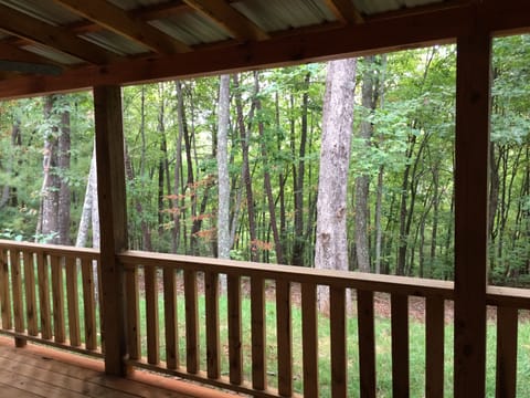 view off front porch   
taken in month of august 