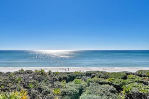 Got Views, Seabiscuit does!!