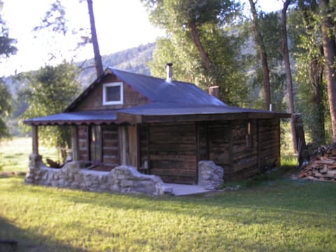Wild Hare  From Bunnylane Cabins