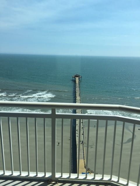 Straight up from the pier....