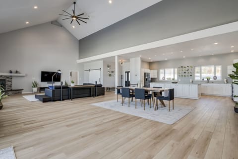 Dining/kitchen/living area