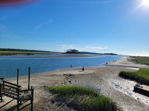 Low Tide on August 30, 2022