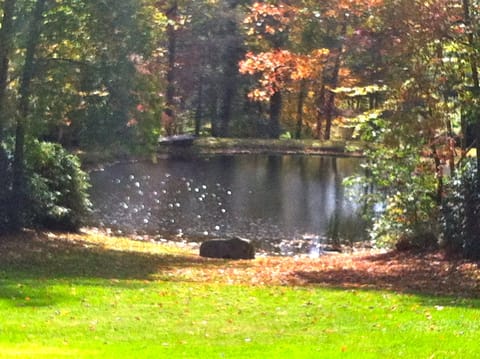 The Ponds at Nantahala Lake - a UNIQUE Smokey Mountain Retreat!