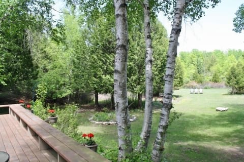Looking into the front yard from the deck.