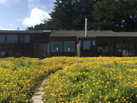 The back side of the house and deck. Floor to ceiling glass offers great views
