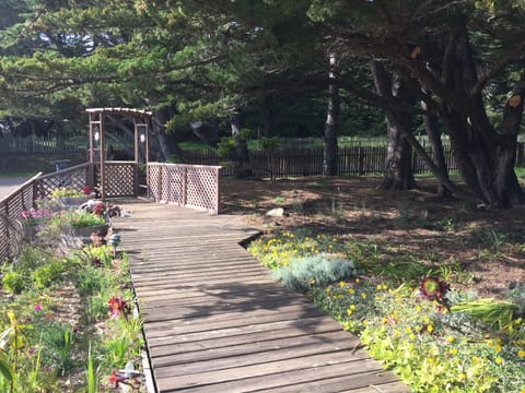 The front yard and garden. Spacious, with several spots to sit and relax.