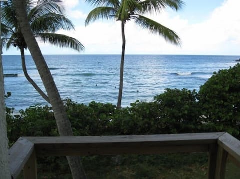 MB balcony. Those are pelicans in the bay