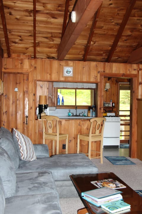 Living room leading to the kitchen