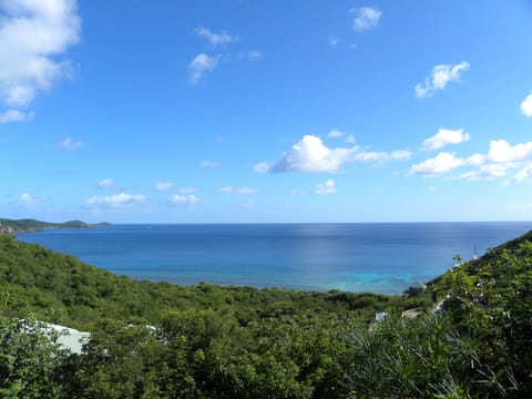 Reef Bay Cottage - Expansive Water Views, cottage roof line on lower left