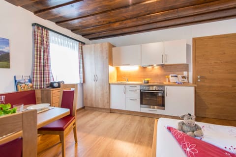 Apartment Schlossalmblick - Biohof Maurachgut Farm Stay in Bad Hofgastein