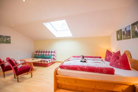 Apartment Talblick - Biohof Maurachgut Farm Stay in Bad Hofgastein