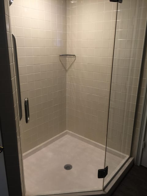 Master walk-in shower