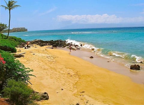 Beautiful Private Beach Right in Front