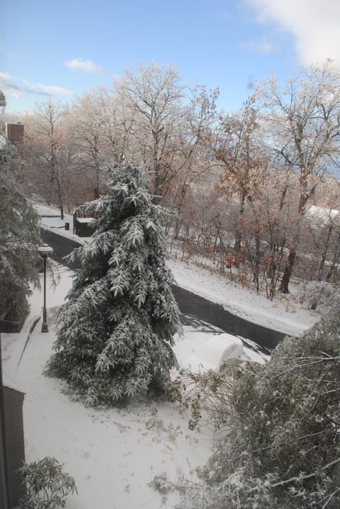 winter view from bedrooms to parking lot and stairs