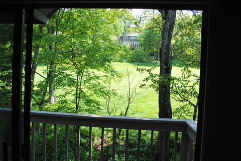 We couldn't help sharing this springtime view of the course from our balcony!