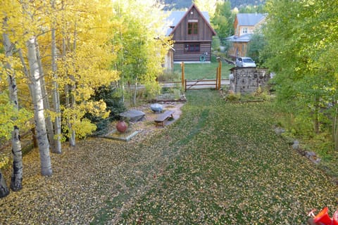 Back Yard is full of aspens.