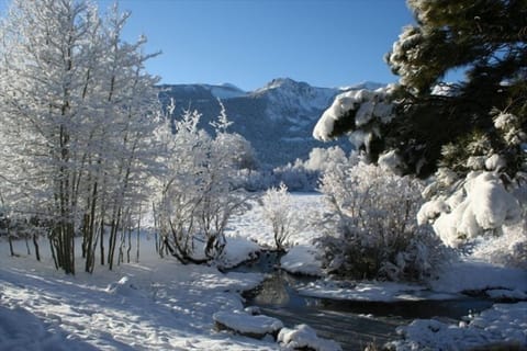 View from the Master Bedroom Deck