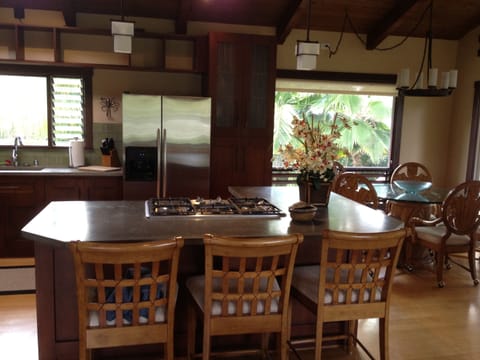 Gas cook top and stainless steel appliances. Fridge with ice maker.