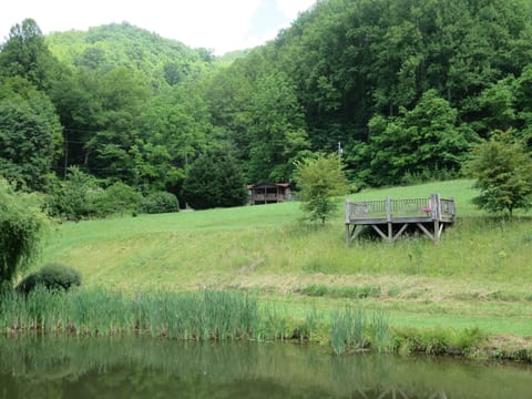 Cabin, private pond, private mountain