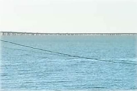 View from Front Porch