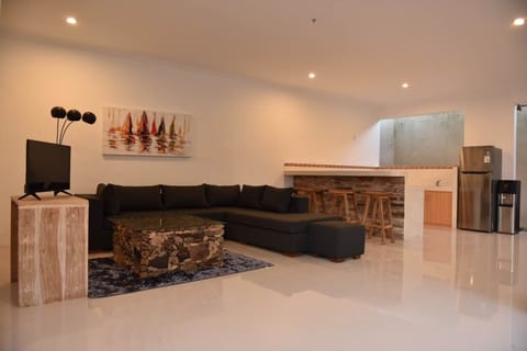 Living room area and kitchen is open area