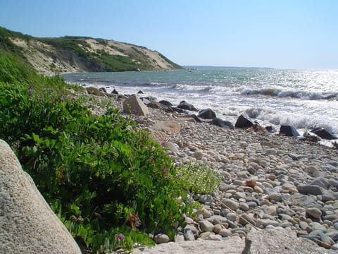 Access this private beach with this rental. Fabulous for swimming and fishing.