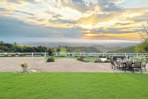 Panoramic City View from the Terrace