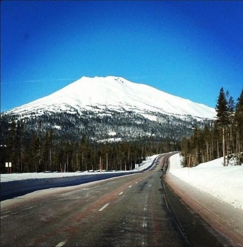 On the back road to Mt Bachelor.