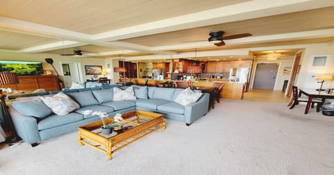 Super Comfy QUEEN-SIZE sofa sleeper sectional couch.