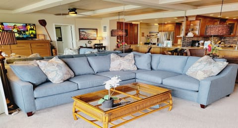 QUEEN-SIZE sofa sleeper couch with premium upgraded mattress -  very comfy!!