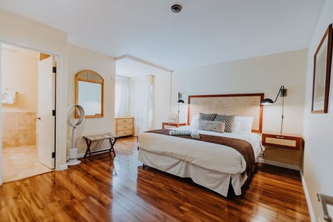 Guest bedroom has King size bed and bathroom en suite